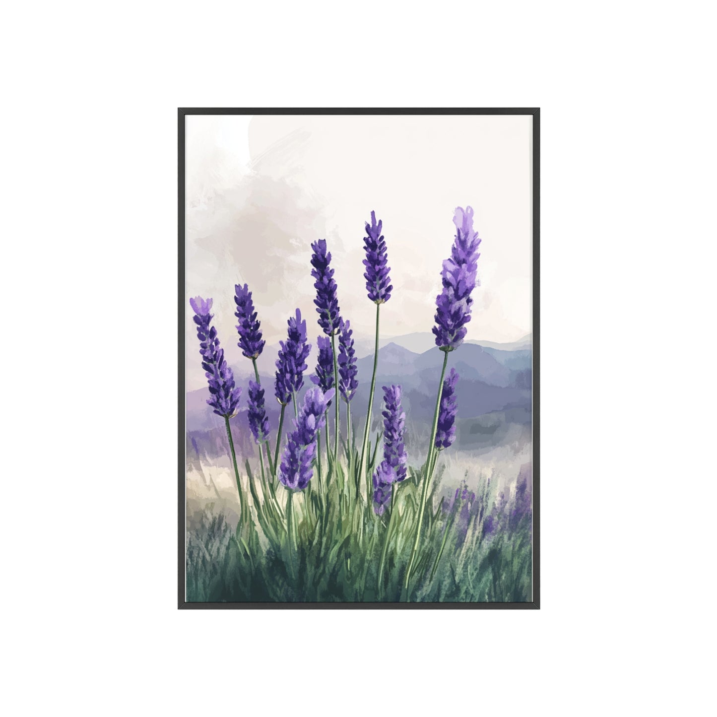 Lavendelblüten in der Wiese