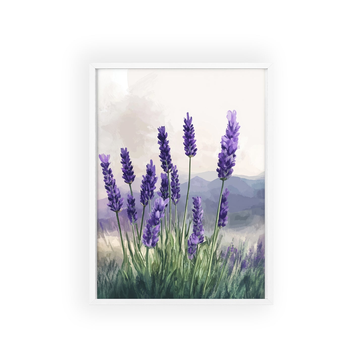 Lavendelblüten in der Wiese