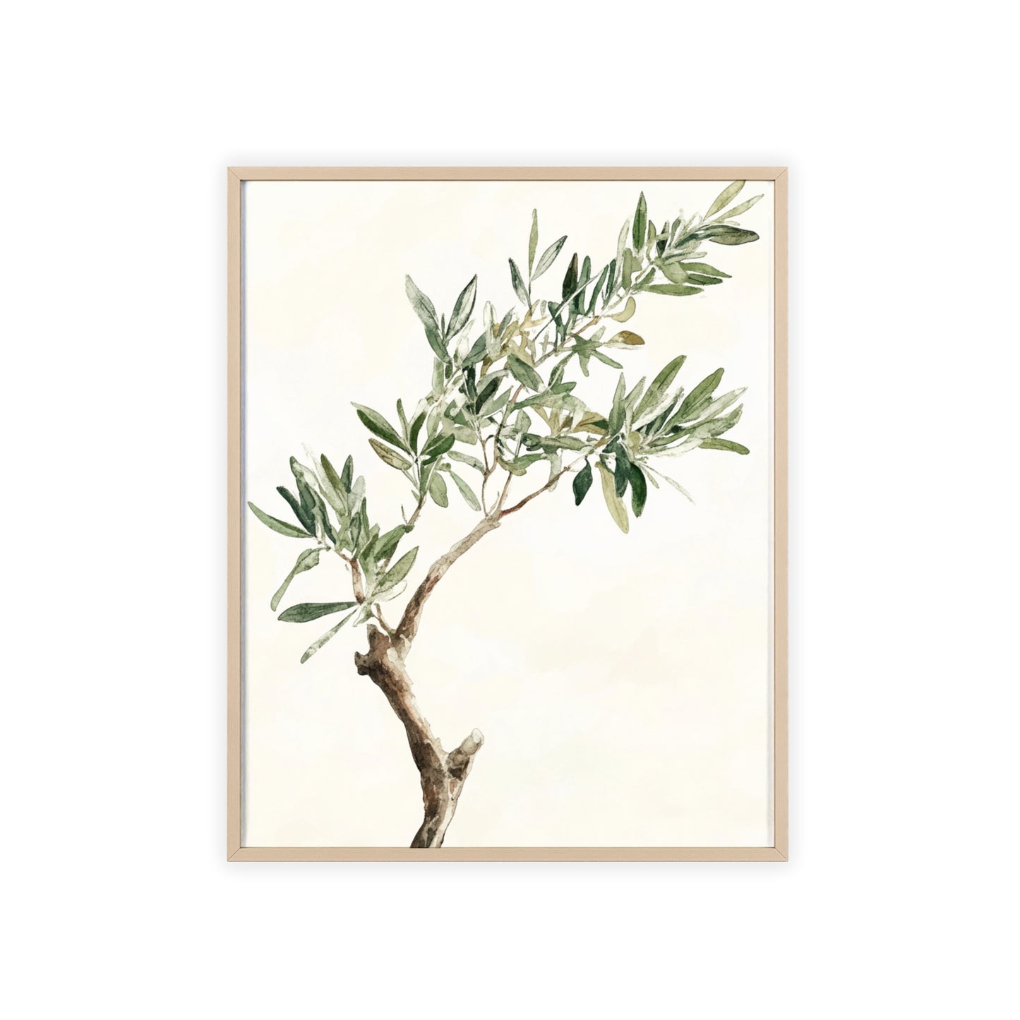 Schlichter Olivenzweig