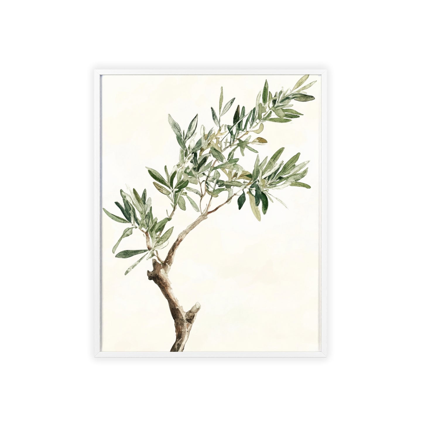 Schlichter Olivenzweig