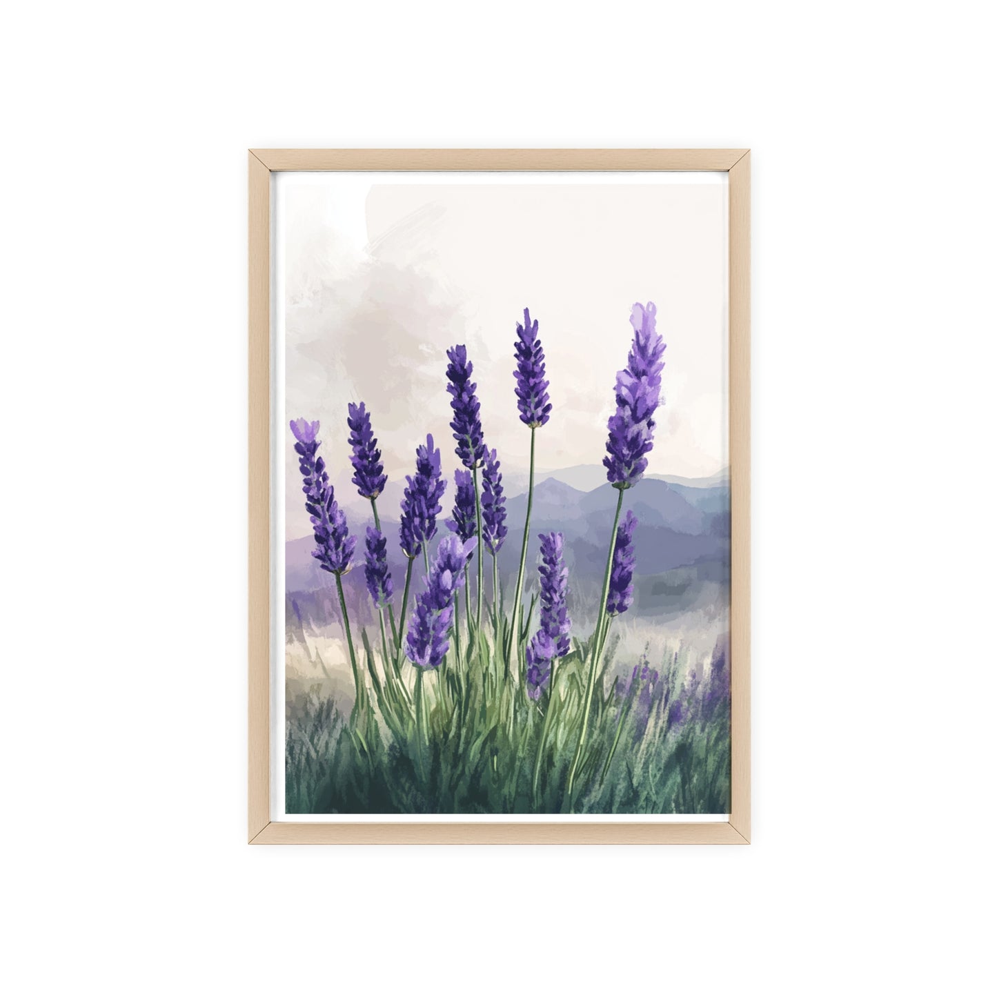 Lavendelblüten in der Wiese